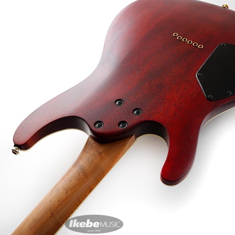 Ibanez SEW761FM-NTF（新品）【楽器検索デジマート】