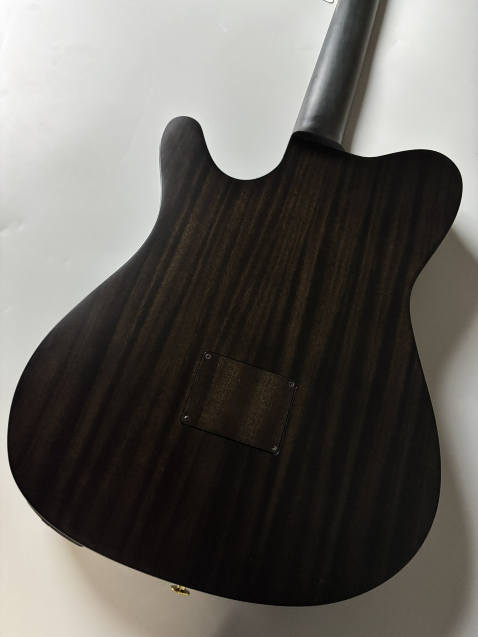 Ibanez FRH20FMN エレガットギター（新品/送料無料）【楽器検索