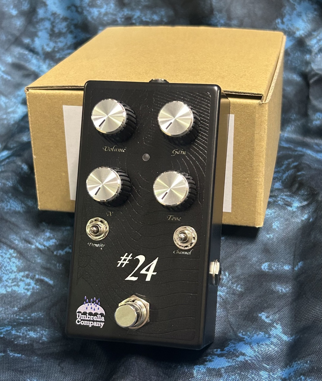 Umbrella Company #24（新品）【楽器検索デジマート】