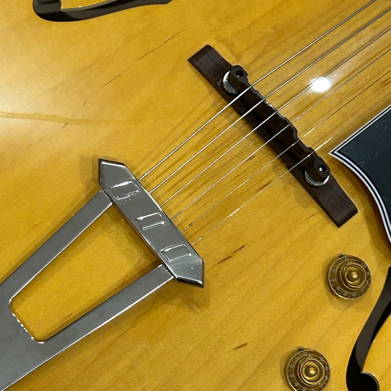 Archtop Tribute AT175 Prototype LAN(Light Amber Natural)（中古