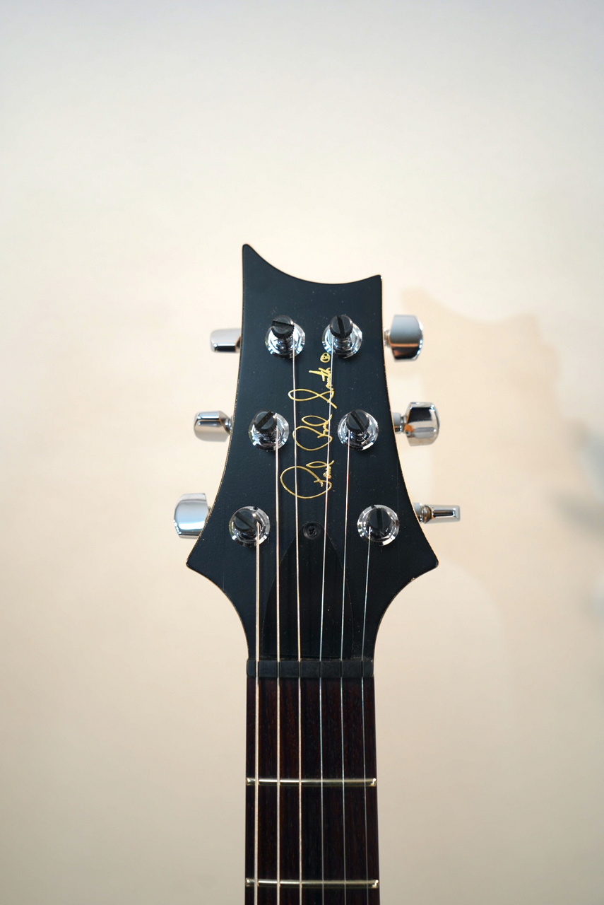 Paul Reed Smith(PRS) CE24 Mahogany '04 Ruokangas Mod. AINO&VÄINÖ