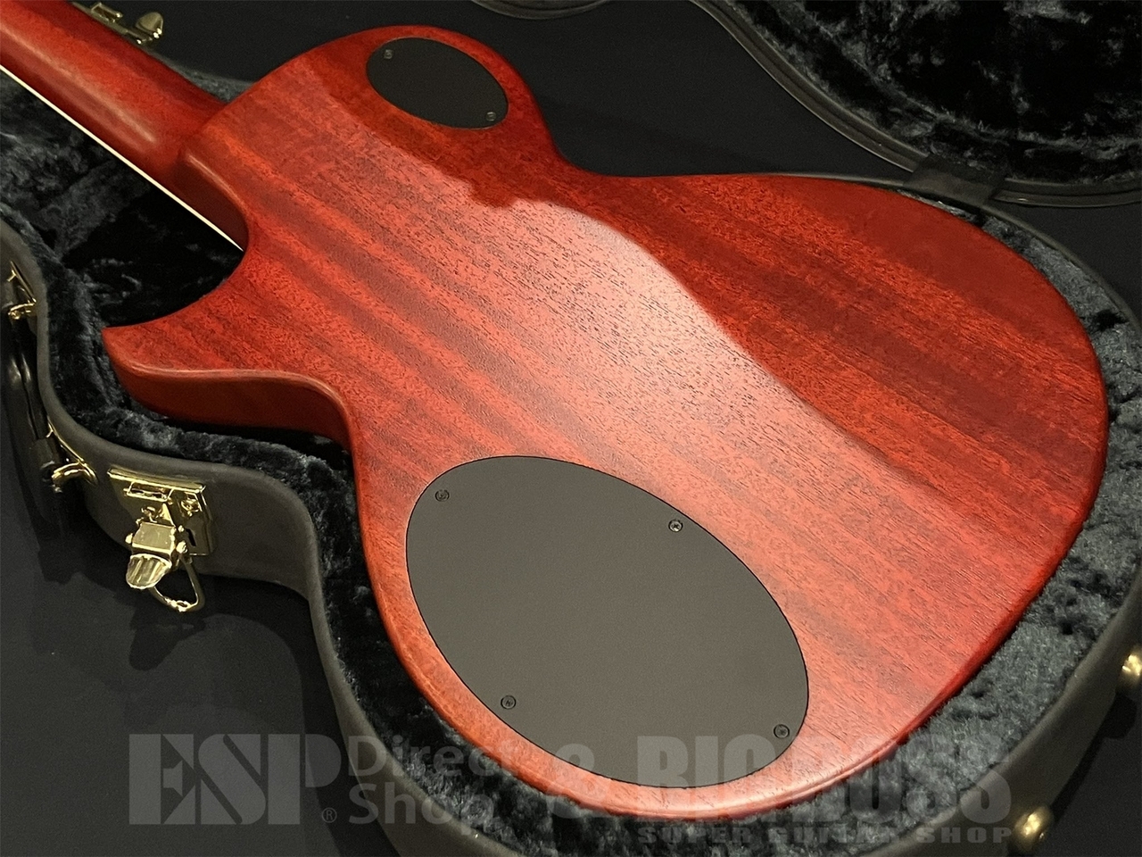 Zemaitis A24MF / Natural 【HISASHI Mod】（中古/送料無料）【楽器