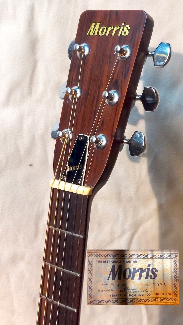 Morris W-20（中古）【楽器検索デジマート】