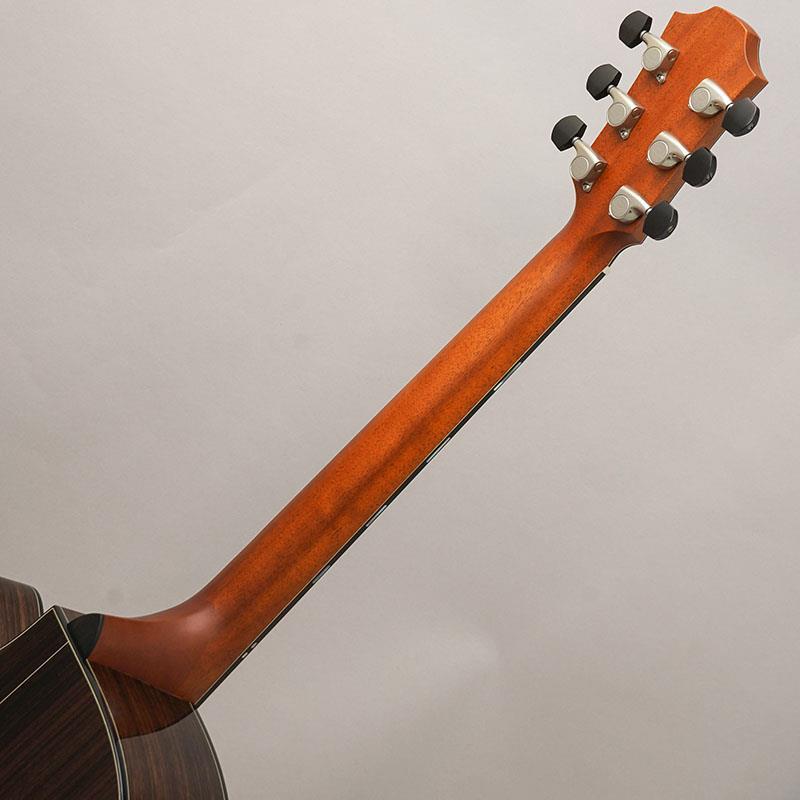 キプリスモルフォ1 107mm Amazon.co.jp: 蝶の標本 キプリスモルフォ