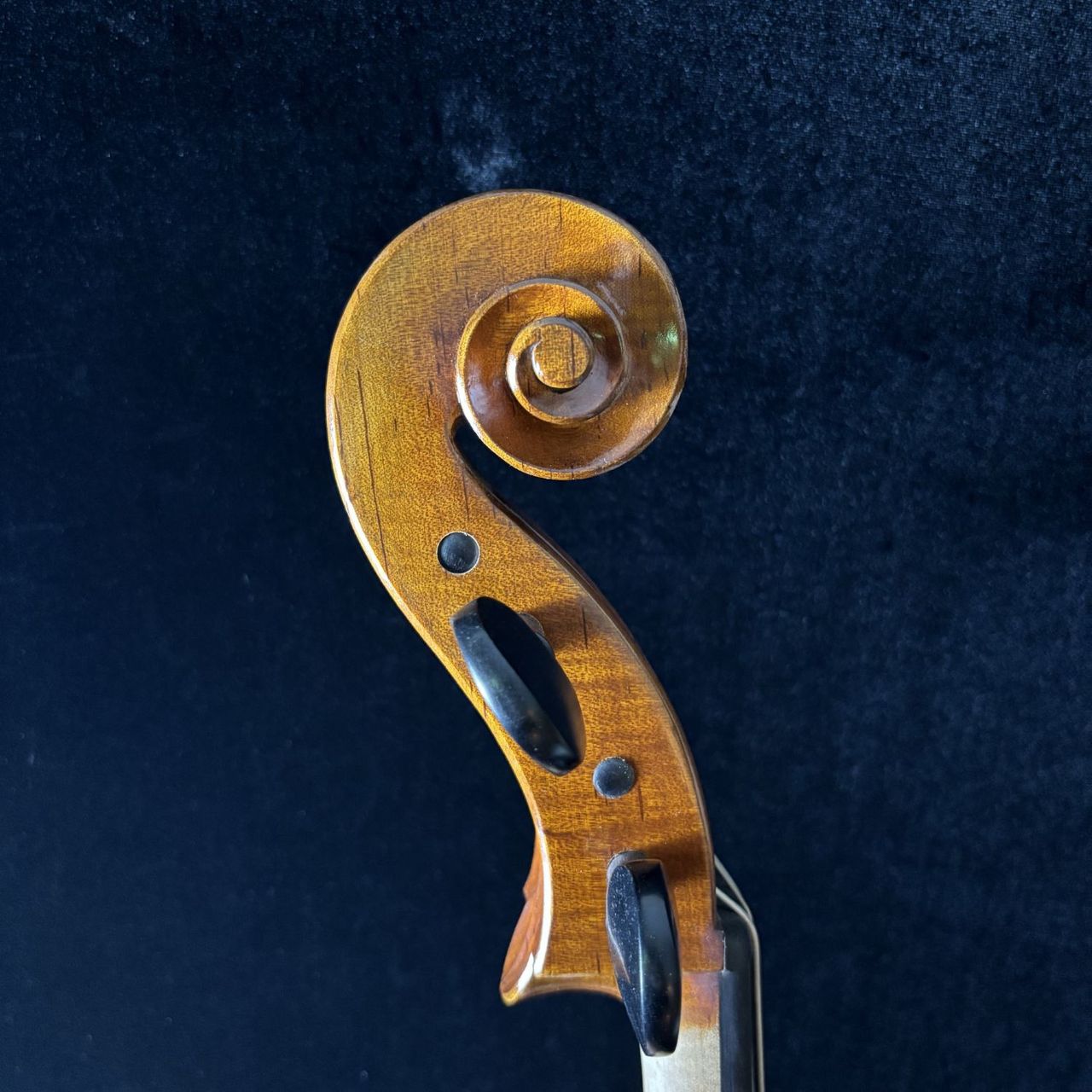 Carlo Giordano 【現物画像】SC-160 3/4 チェロセット【ミ