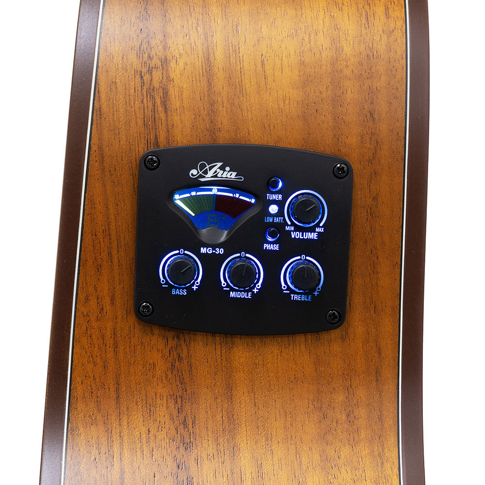 ARIA ARIA アリア AF-107KACE MTN エレクトリック