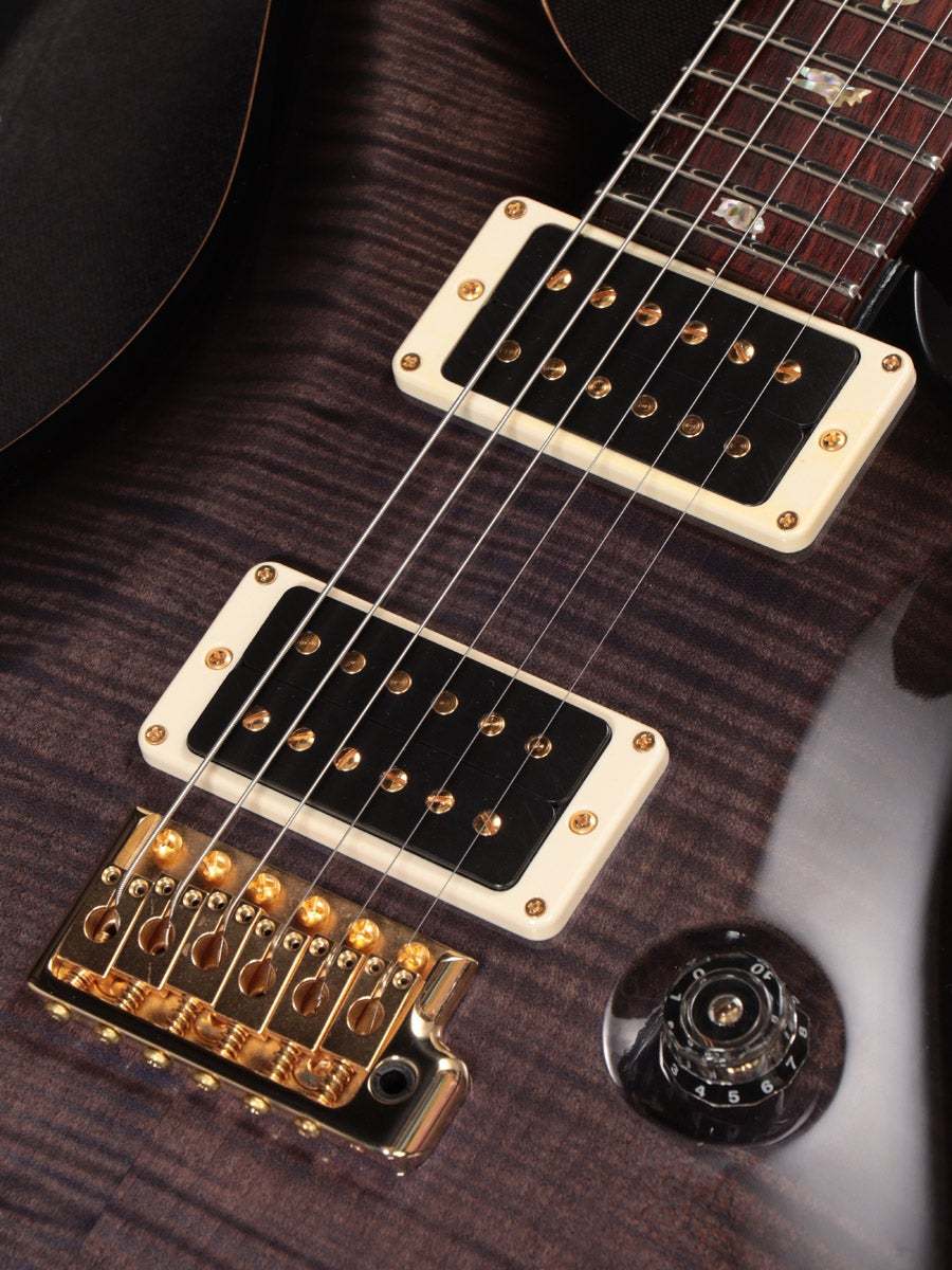 Paul Reed Smith(PRS) 2013 Custom 24 Artist Package Purple Hazel