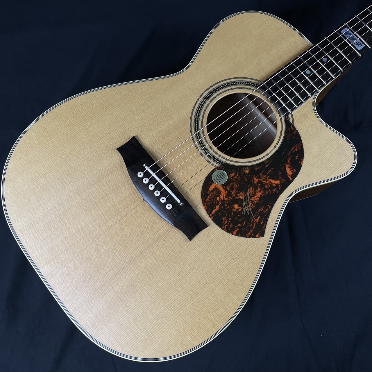 MATON EBG808CTE（新品/送料無料）【楽器検索デジマート】