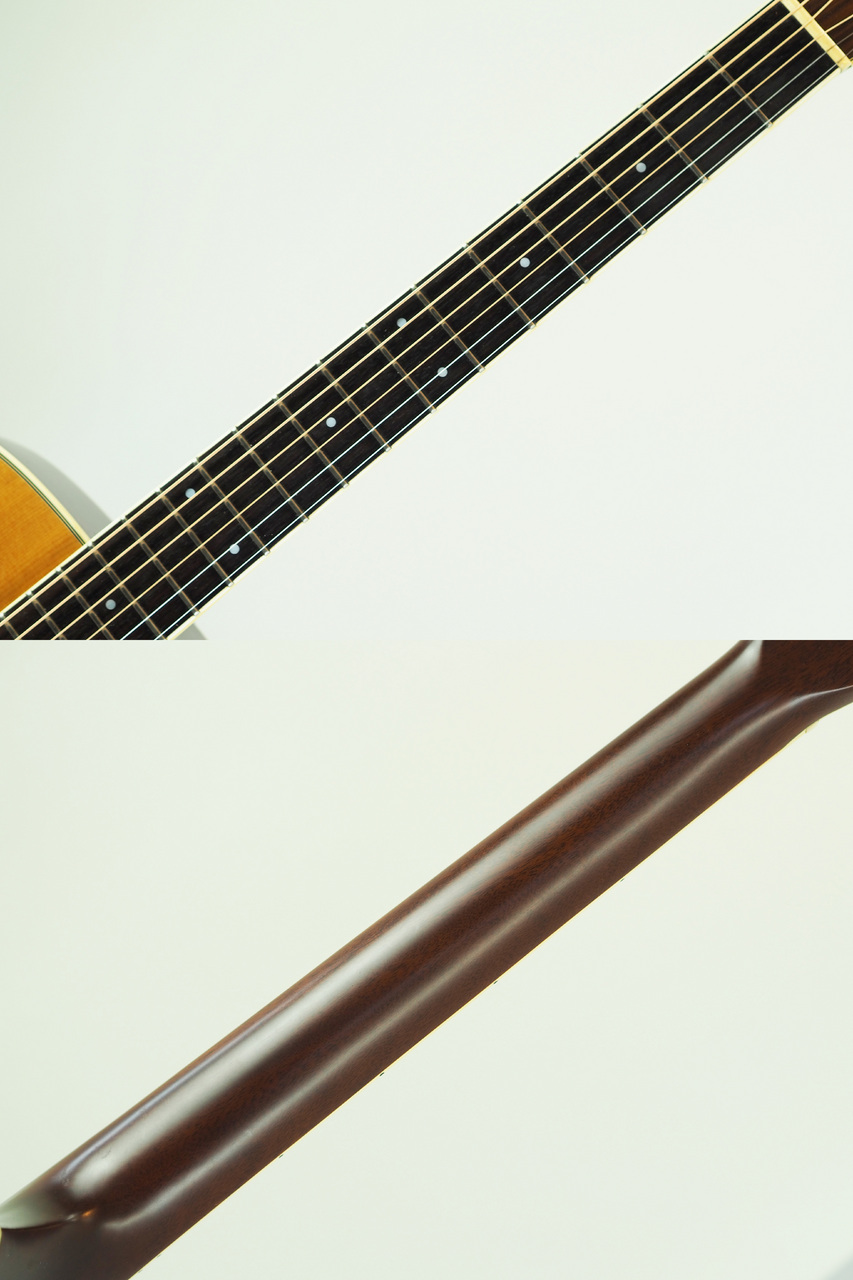 Morris RA800P (管理番号4983)（中古）【楽器検索デジマート】