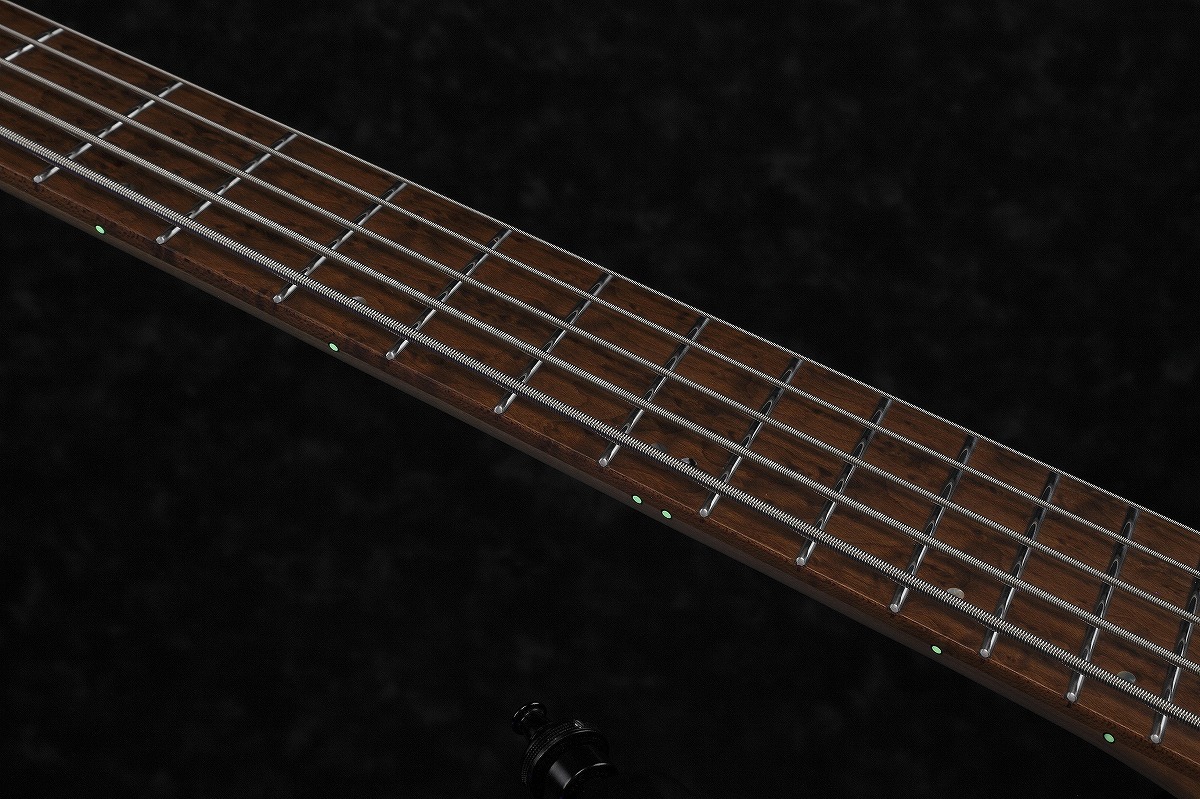 Ibanez EHB1005-BKF ヘッドレスベース 【WEBSHOP】（新品/送料