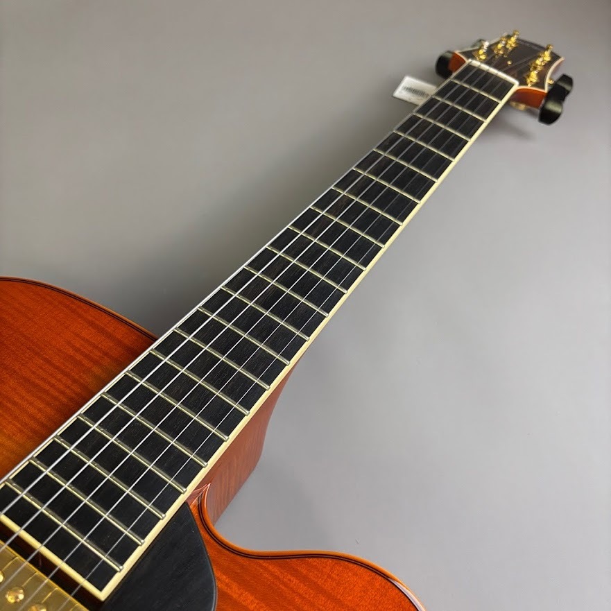Sadowsky Jim Hall Model（中古/送料無料）【楽器検索デジマート】
