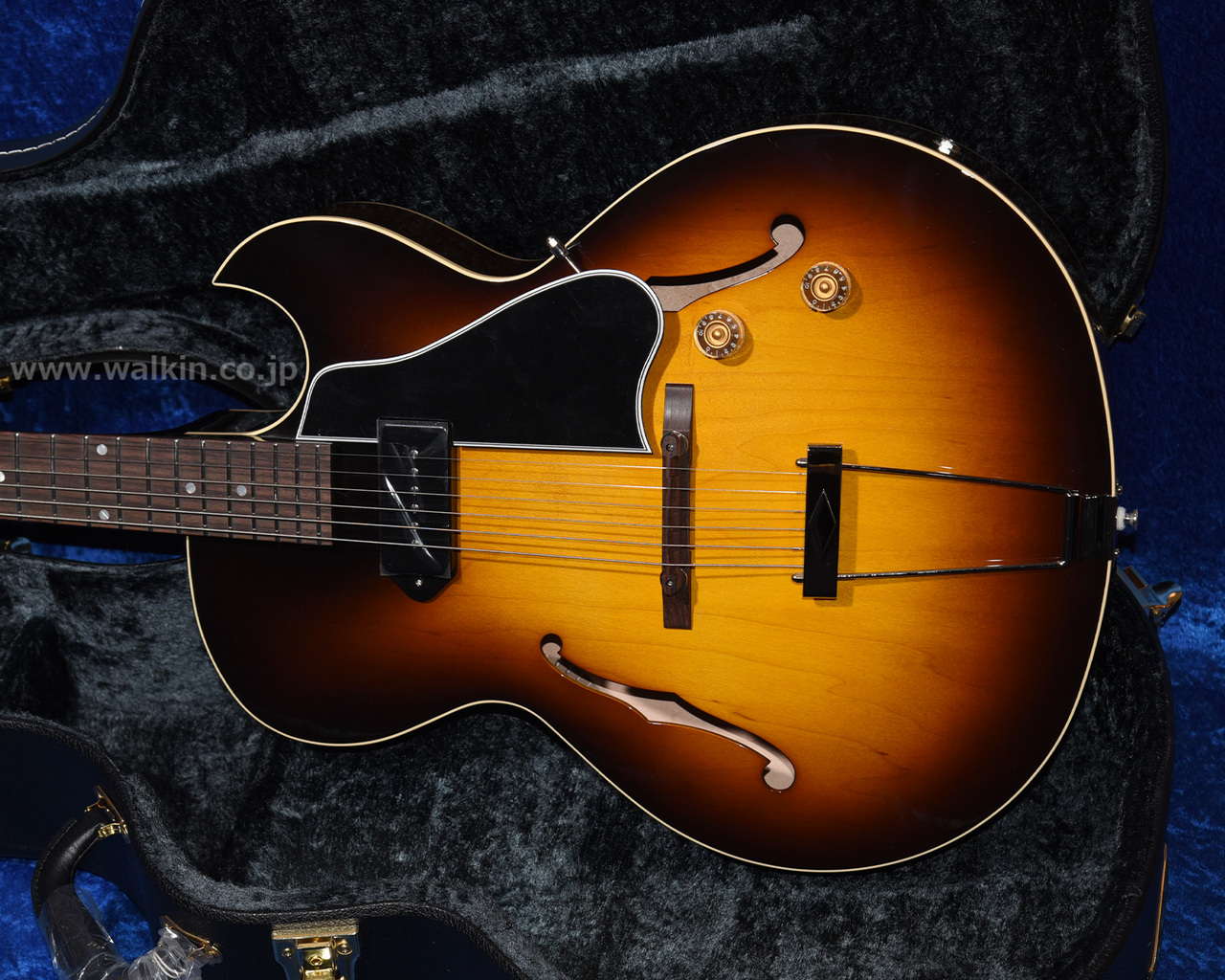ギター Archtop Tribute AT101 Archtop Tribute AT101 Classic（新品）【楽器検索デジマート】