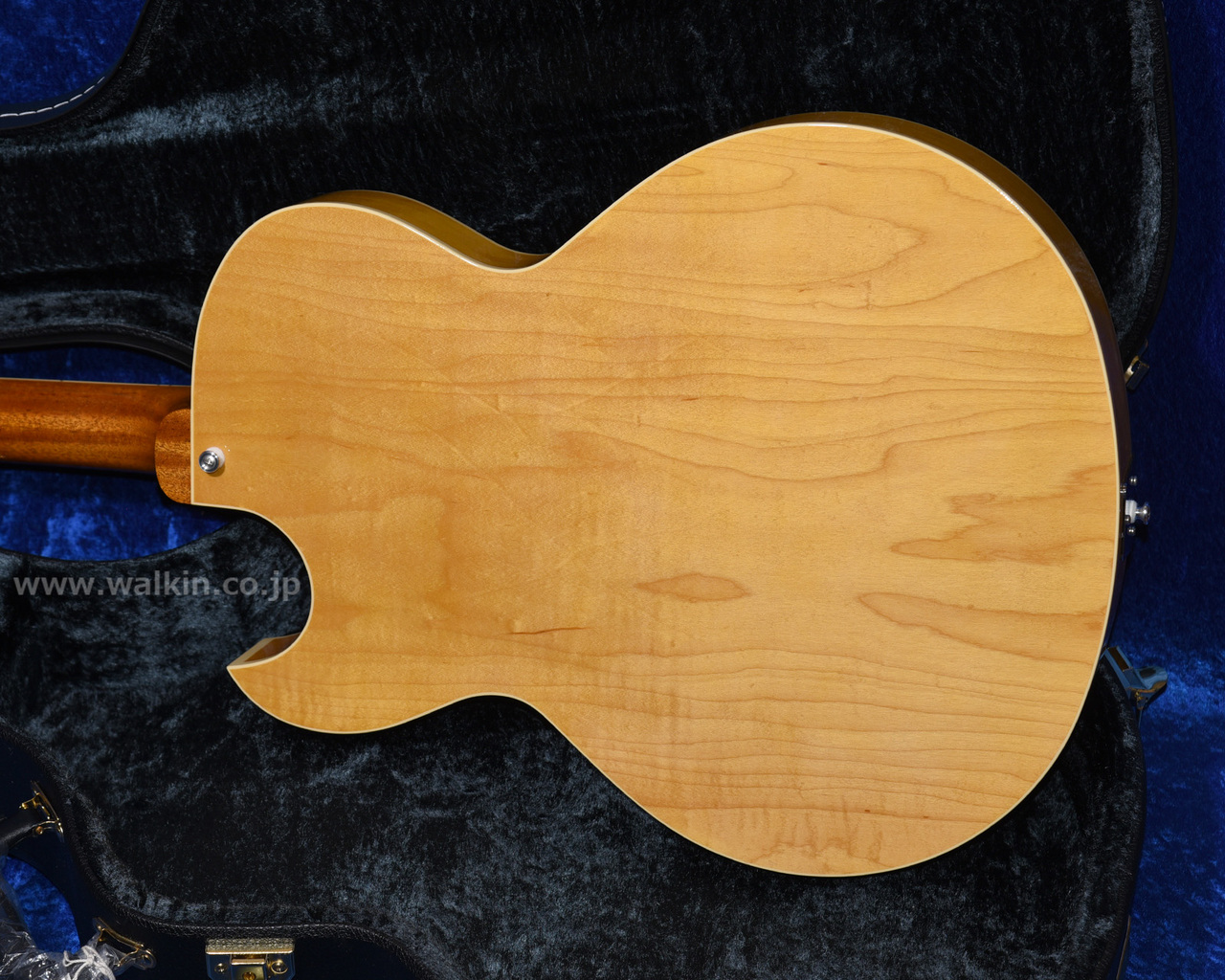 Archtop Tribute AT205MD（新品）【楽器検索デジマート】