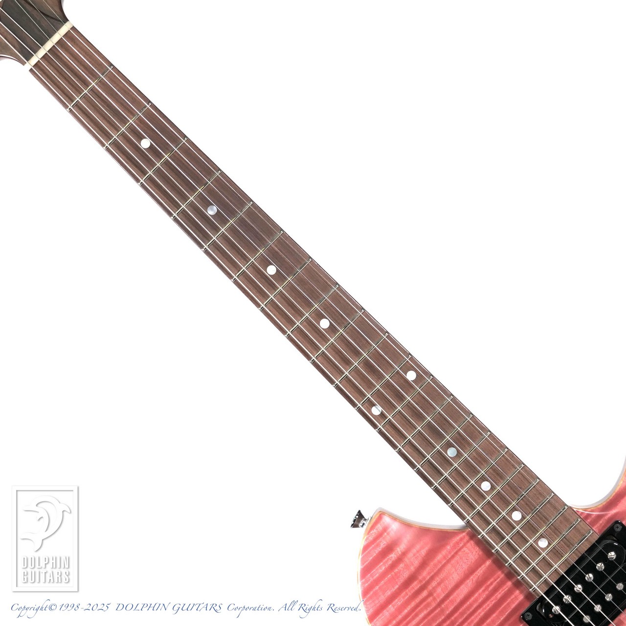 dragonfly maroon koppa コンポギター dragonfly B6 MAROON koppa|ドルフィンギターズ
