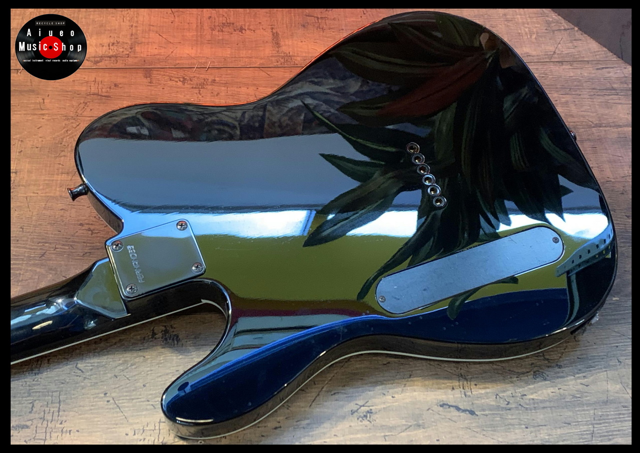 FERNANDES TEJ-DELUXE 2S（中古）【楽器検索デジマート】