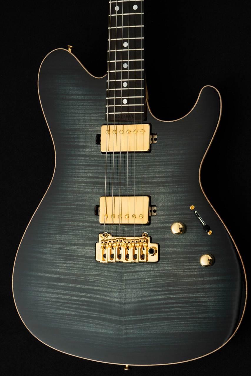 Sugi guitars DS496 IR オリジナルセミハード付き Sugi guitars DS496 IR オリジナルセミハード付き