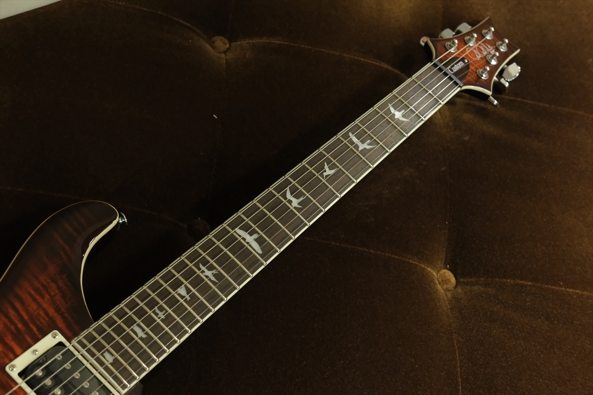 Paul Reed Smith(PRS) SE Custom 24 Semi-Hollow Piezo
