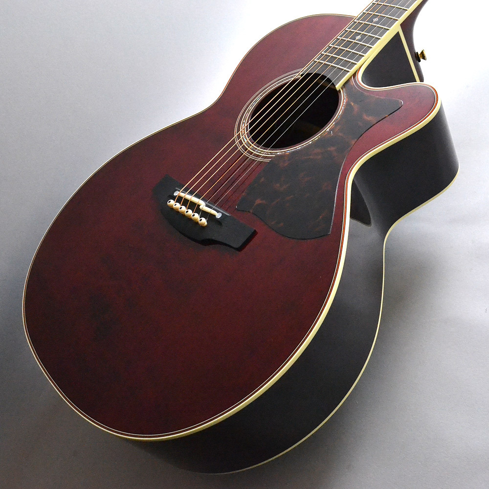 Takamine DMP50S WR エレアコギター 【島村楽器 x Takamine コラボ