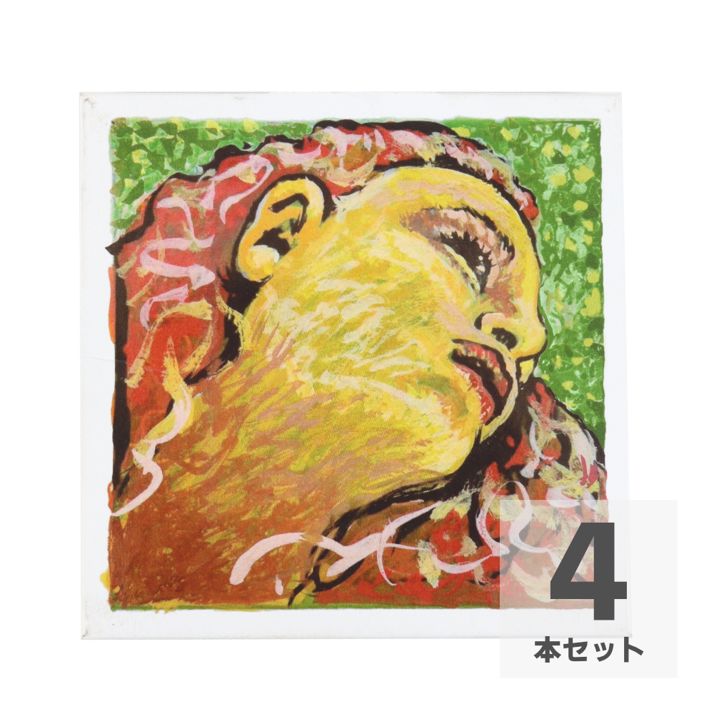 Pirastro ピラストロ Evah Pirazzi NEO ＃41B021 E線。A線、D線、G線 4本セット バイオリン弦