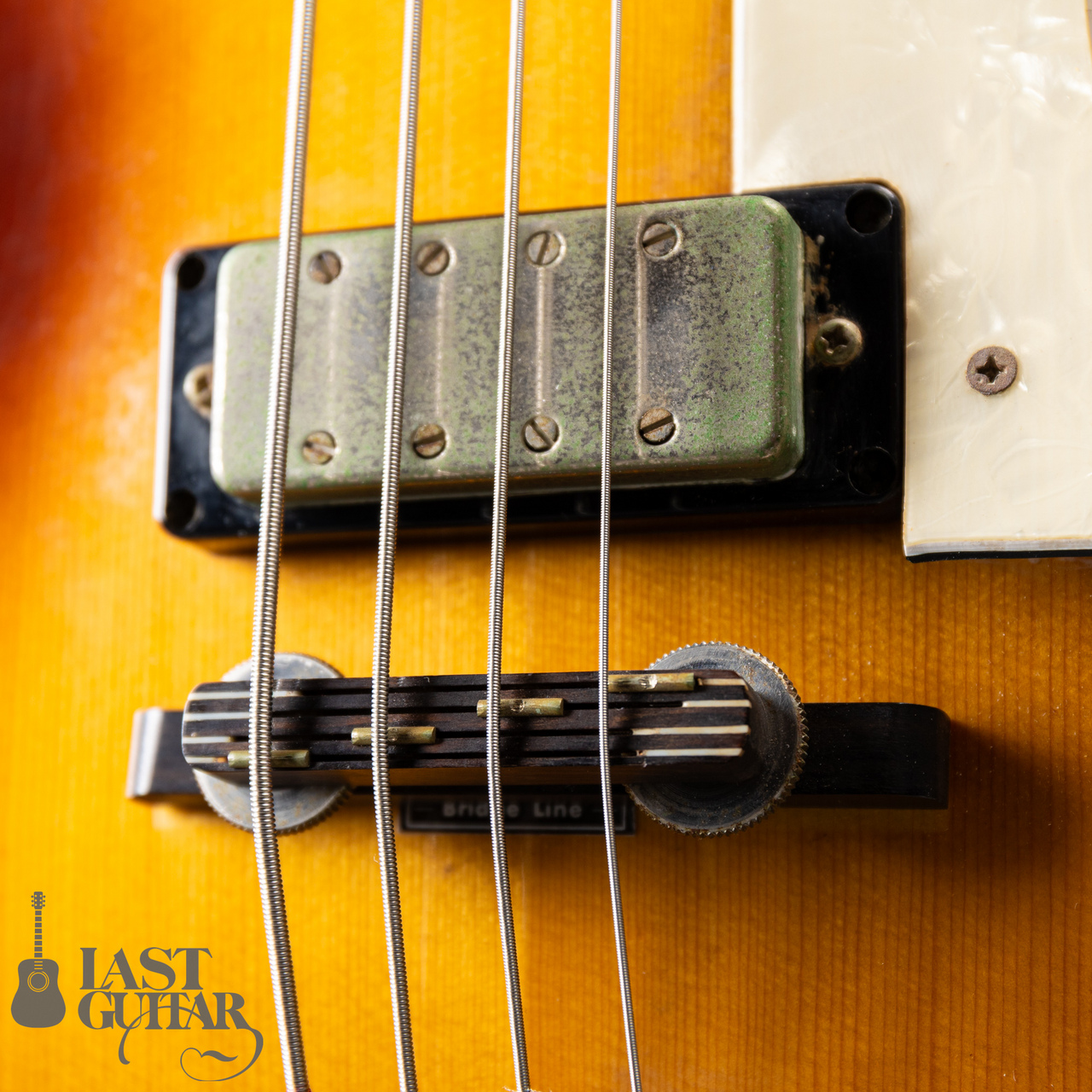 Greco Violin Bass (ケース付) Greco Violin Bass (ケース付)