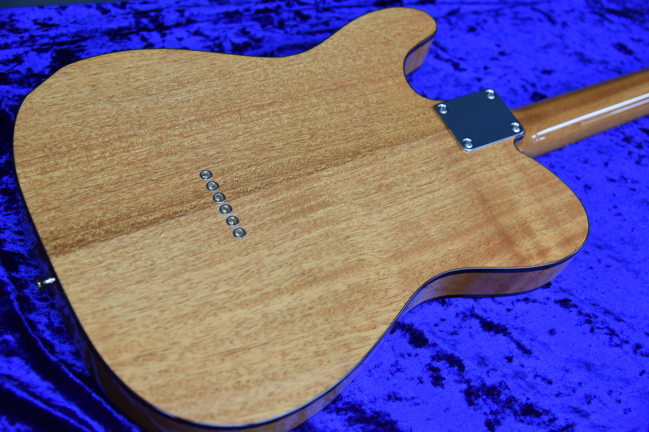 Tokai ATE103S N/R（新品）【楽器検索デジマート】