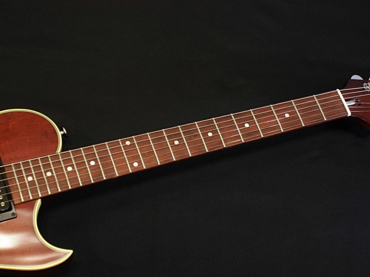 Aria Pro II PE-1500RI / SBR (Stained Brown)（新品/送料無料）【楽器
