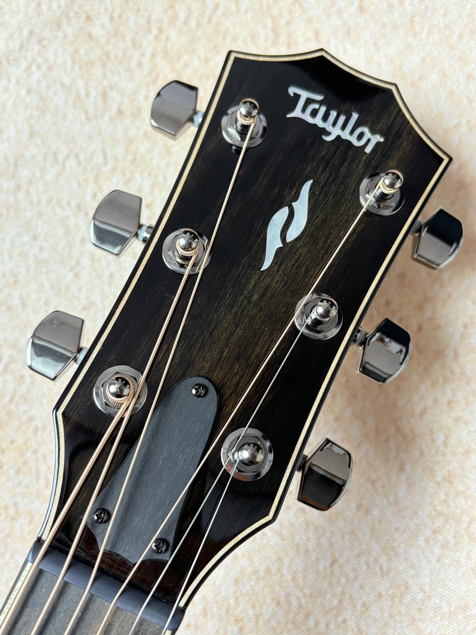 Taylor 814ce Next Generation【フラグシップ】【送料当社負担・最大48