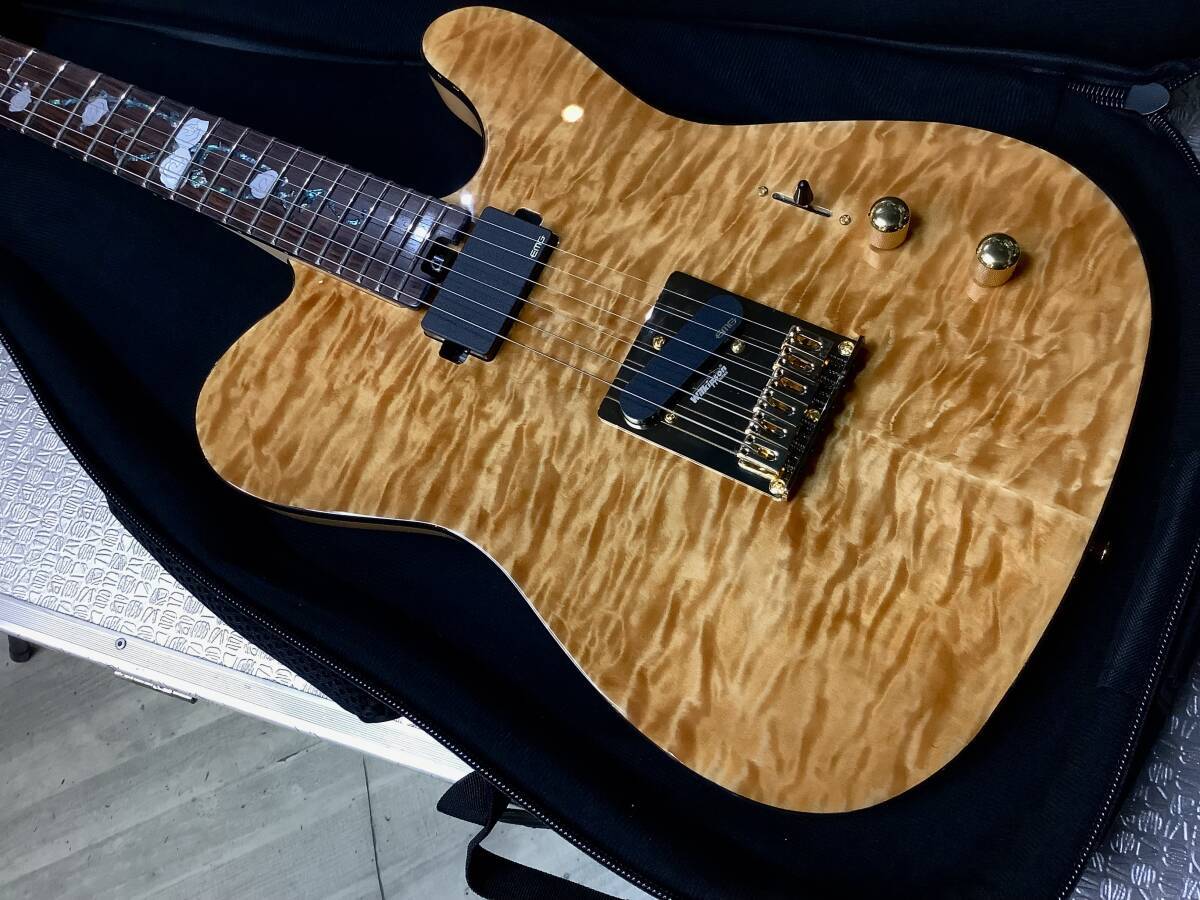 Aria Pro II TEG-780 N (Natural) アリアプロ2【限定モデル