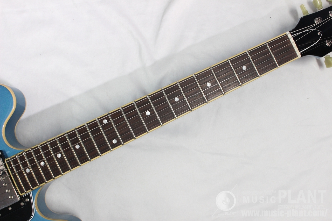 EDWARDS E-SA-STD LPB（新品/送料無料）【楽器検索デジマート】