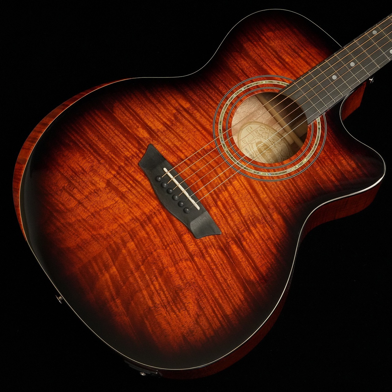 Washburn WCG12FCE エレアコギター（新品特価/送料無料）【楽器検索