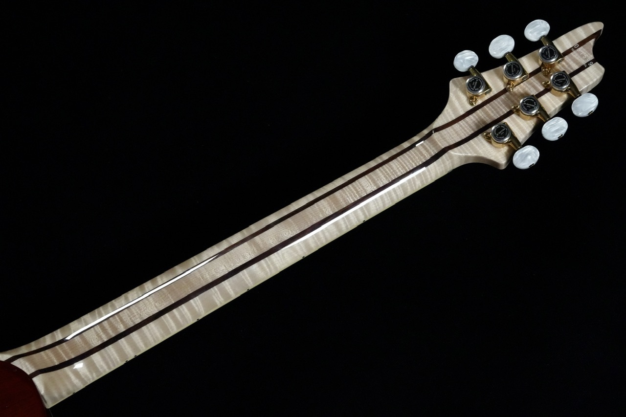 T's Guitars Arc-Singlecut22 Hollow 5A Exotic Flame/Custom