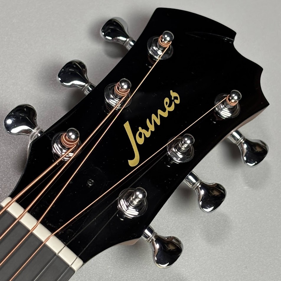 James J-300A II Earth Blue アコースティックギター トップ単板