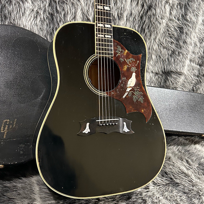 Gibson DOVE 1977（ビンテージ/送料無料）【楽器検索デジマート】