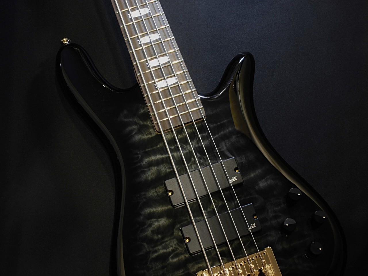 Spector Icon NS-5 Bolt-On 5 / Black Stain Gloss【5弦】