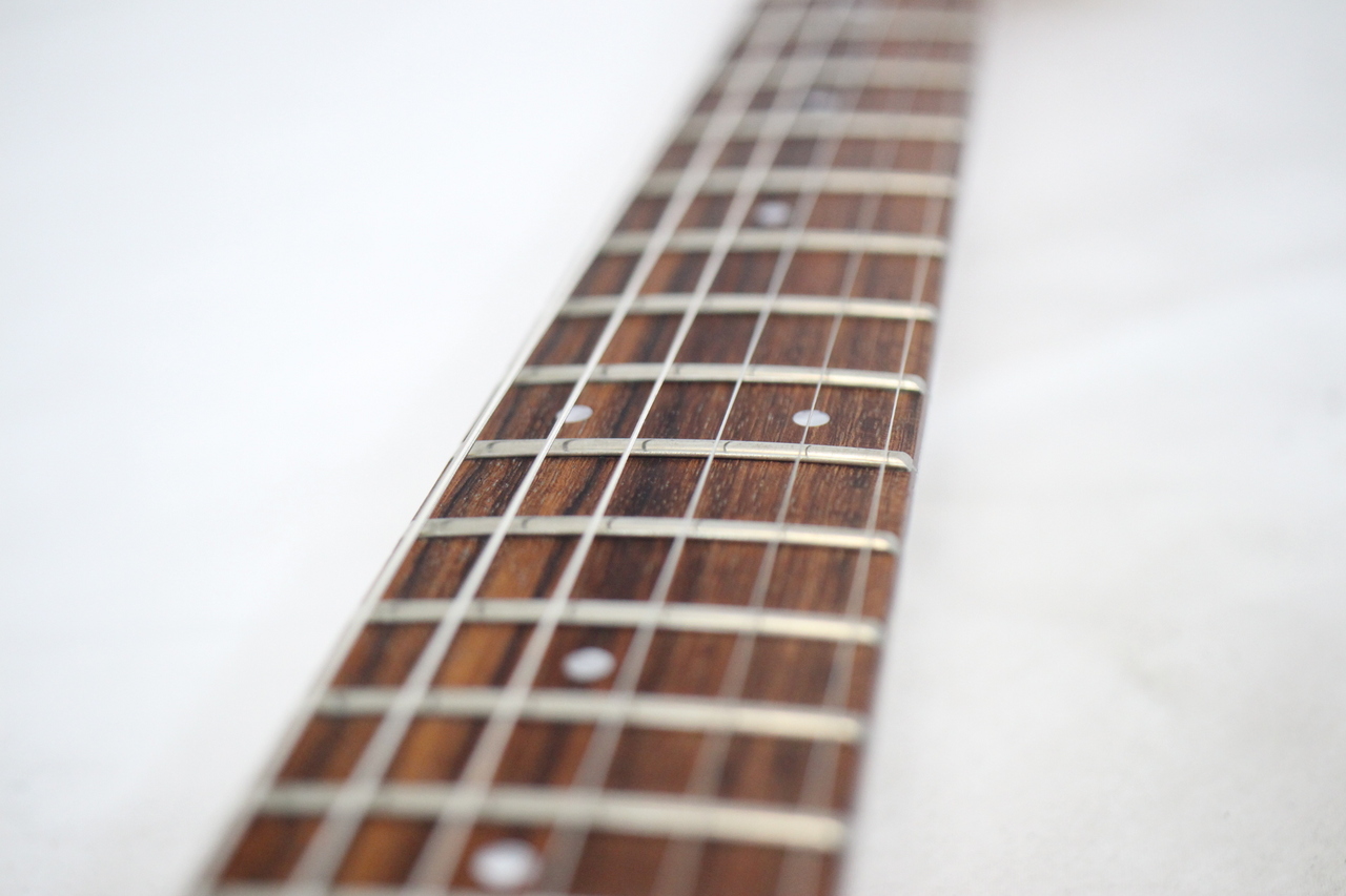FERNANDES APG-85s <フェルナンデス>｜平野楽器 ロッキン