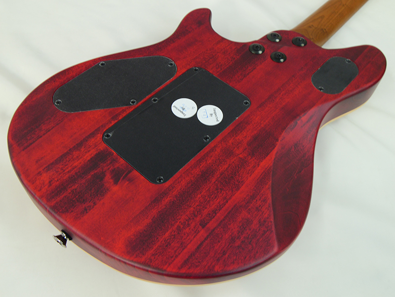 EVH Wolfgang WG Standard Exotic Zebrawood（新品/送料無料）【楽器