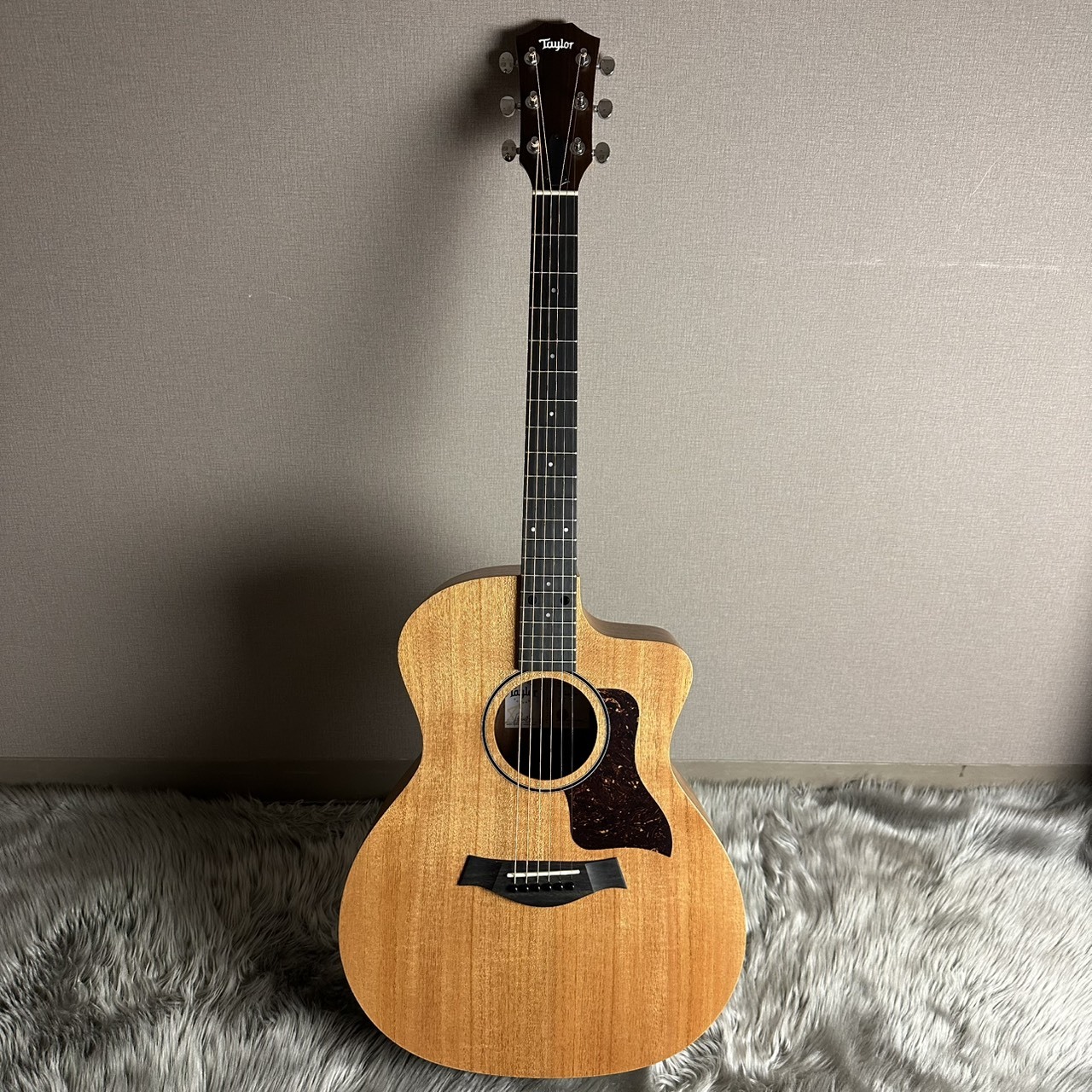 Taylor 24ce【現物画像】【最大36回分割無金利 実施中】（新品/送料