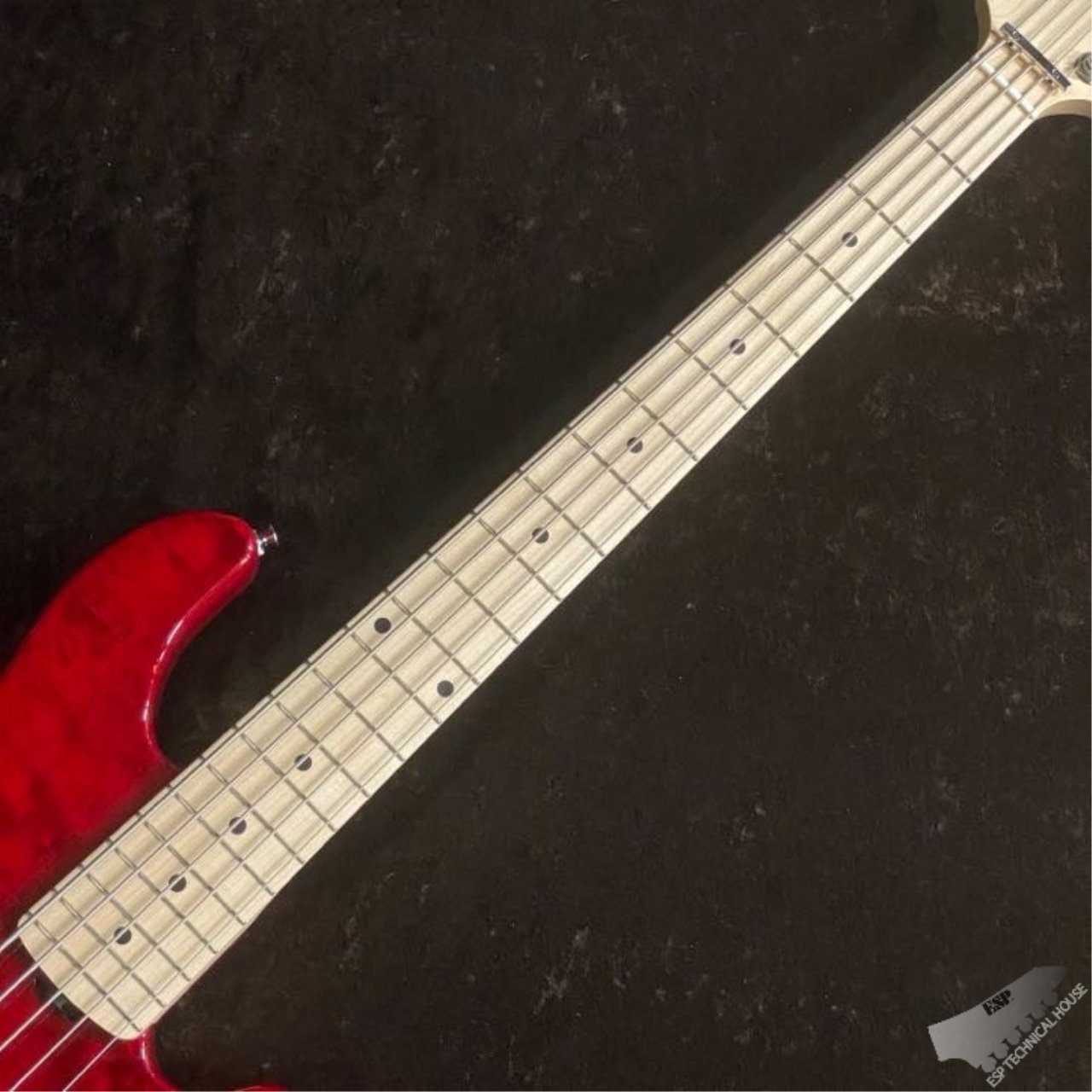 Lakland SL55-94 DX/M【Burgundy Translucent】（新品/送料無料