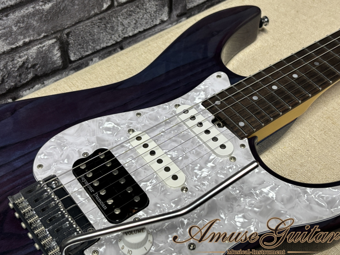 VELLMOR GUITARS VSC Custom 2010年代製【Practical Customization