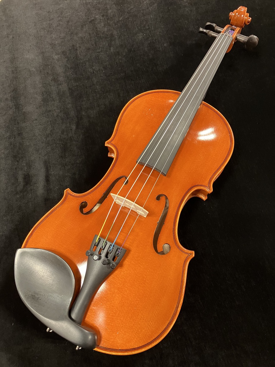 イーストマン バイオリン VL80 1/8 ケース付き （EASTMAN VL80