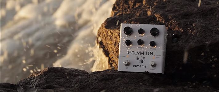 meris Polymoon 《ディレイ》【Webショップ限定】（新品）【楽器