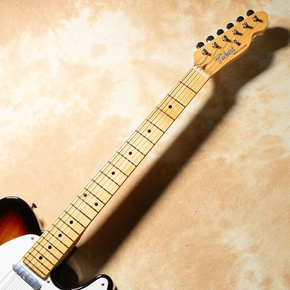 Tokai ATE-102 YS/M（新品）【楽器検索デジマート】