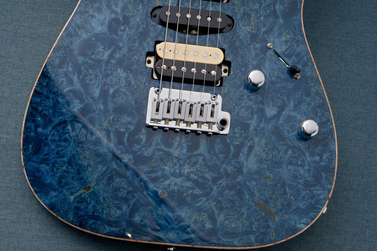 ギター T's Guitars DTL-PRO ギター T's Guitars DTL-PRO T's Guitars DTL Pro 24 Custom Ash Trans