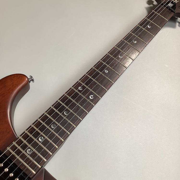 Paul Reed Smith(PRS) SE22STD 사진 3