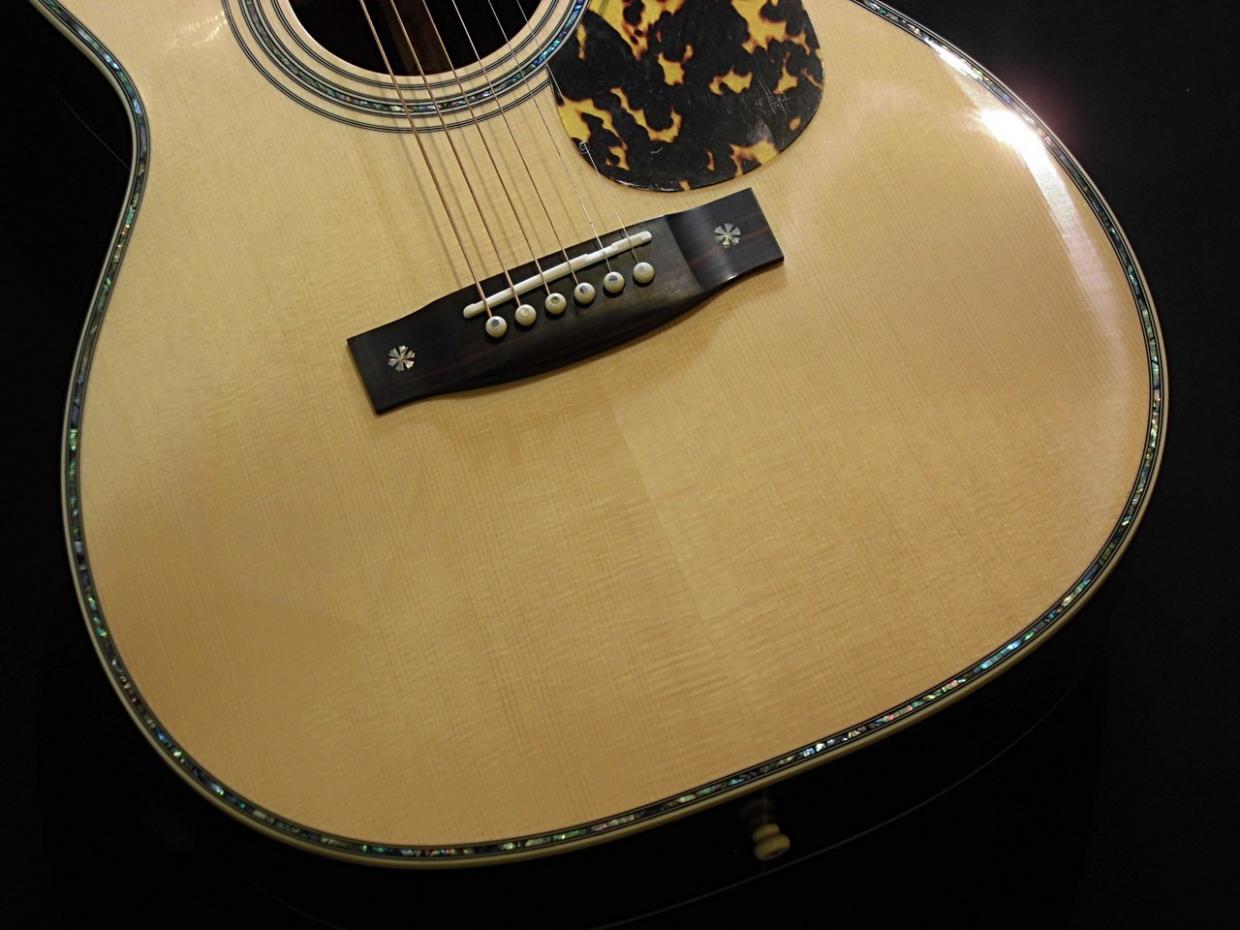 ARIA AF-905 -Aria Dreadnought- 【生産完了品】 【オール単板