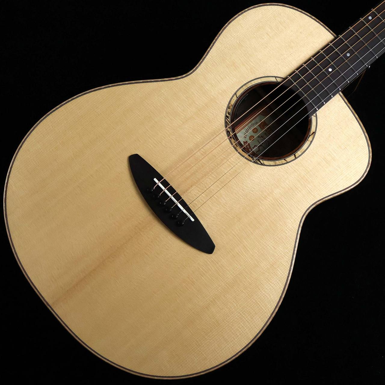 aNueNue aNN-LF280E 【エレアコ】 【未展示品】（新品/送料無料