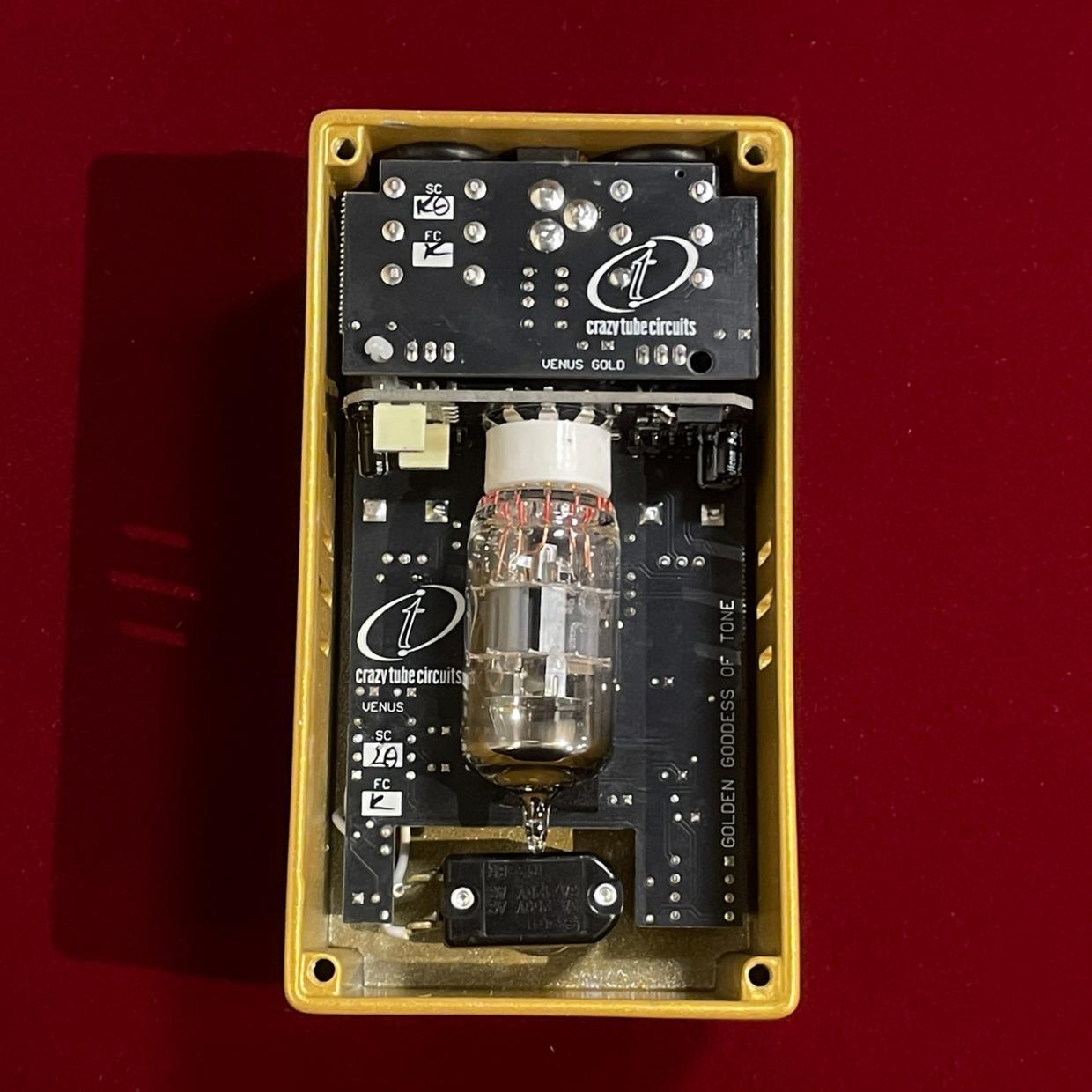 Crazy Tube Circuits Venus JAPAN Limited Edition【限定50台の特別