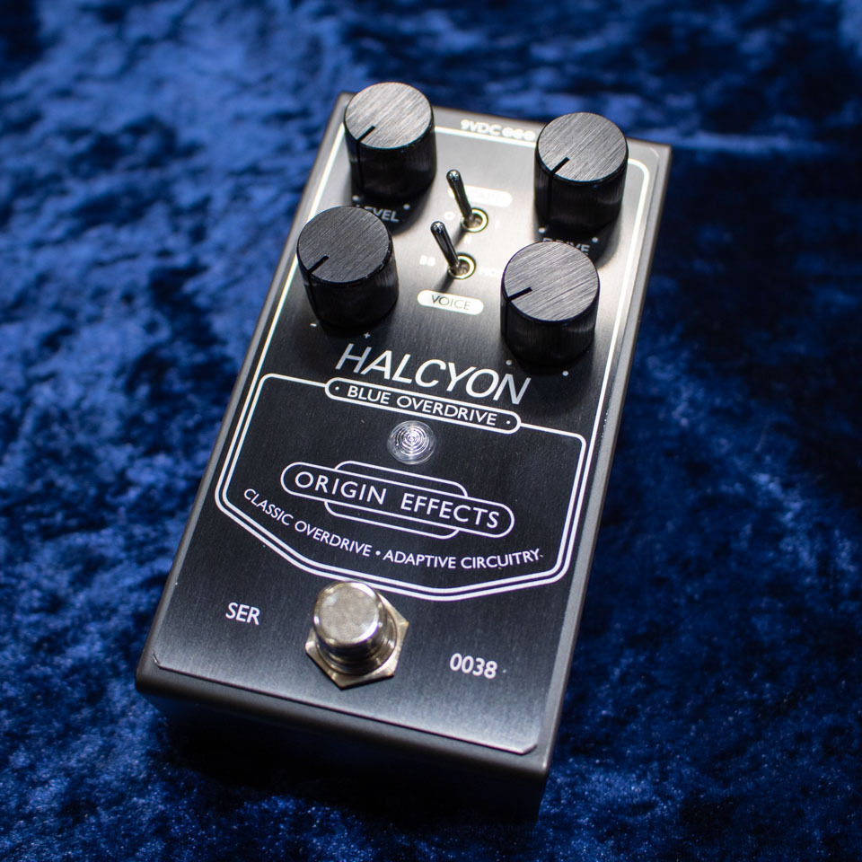 ORIGIN EFFECTS Halcyon Blue Overdrive Black Edition（新品/送料無料