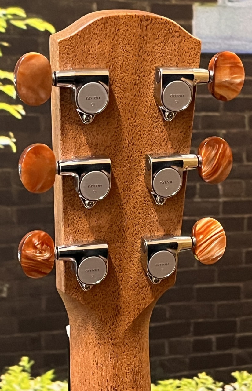 Vincent VN-30Blues HC付 Fishman後付け image.jpg