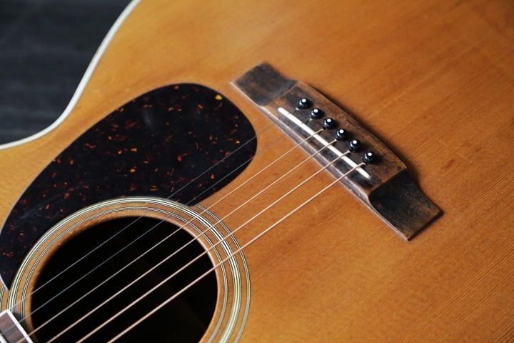 DeliciousTaylormade ハム用 ハカランダカスク18年 Zemaitis 1984 E/G